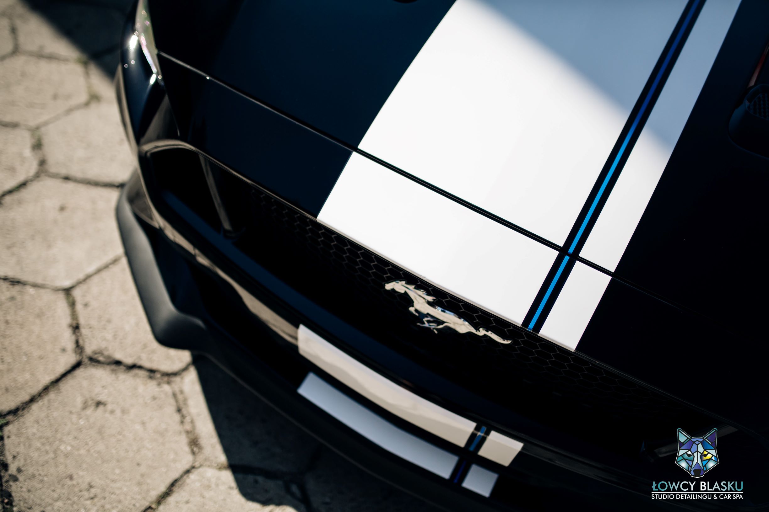Ford Mustang GT zabezpieczony folią ochronną samochodową, folie samochodowe, oklejanie foliami, łowcy blasku