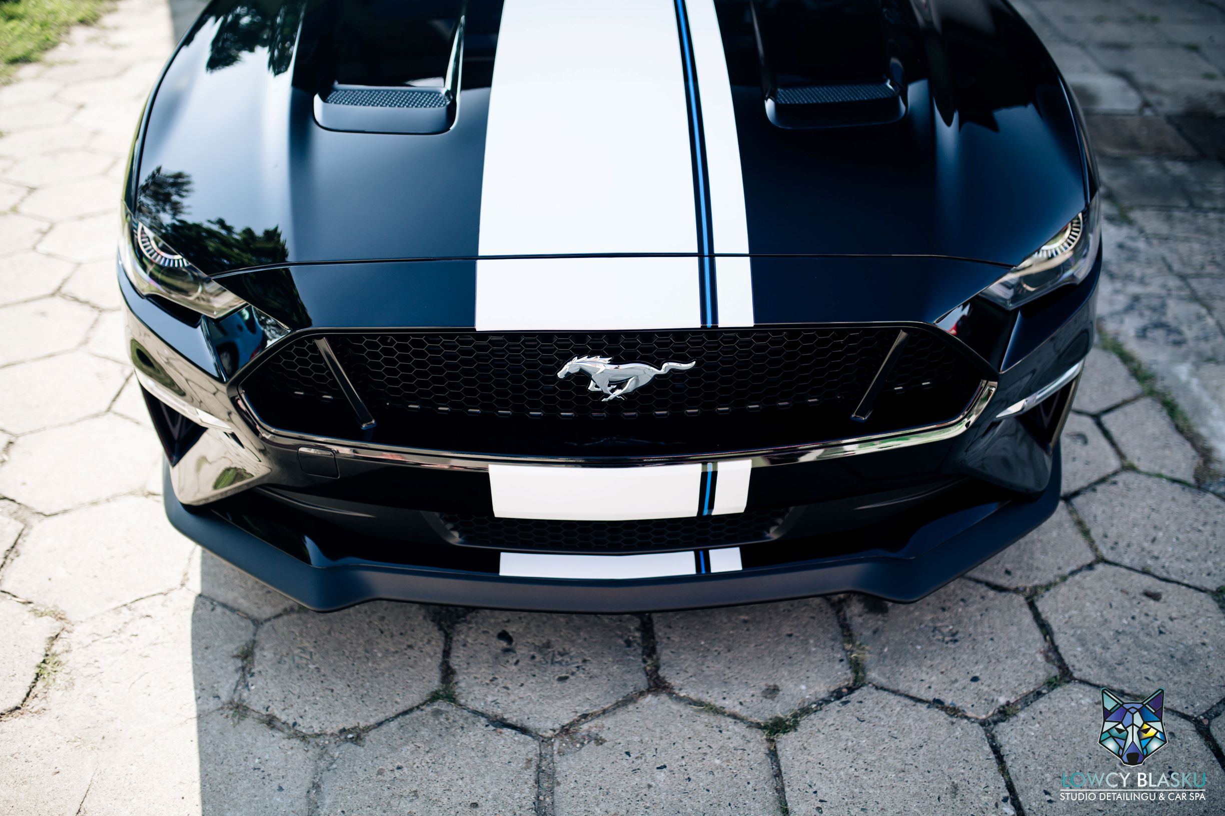 Ford Mustang GT zabezpieczony folią ochronną samochodową, folie samochodowe, oklejanie foliami, łowcy blasku